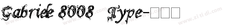 Gabriele 8008   Type字体转换